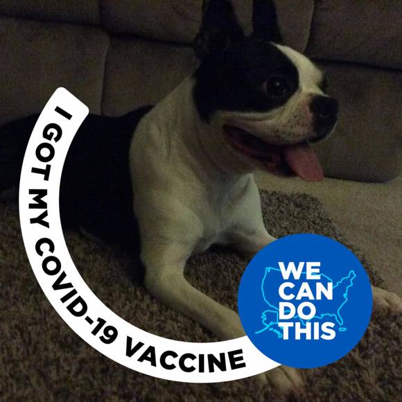 Meet your Posher, Nancy - Picture 1 of 1